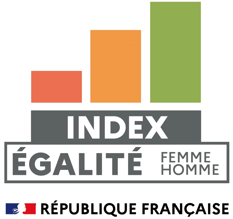 NSTI RESEAUX INCENDIE - EGAPRO INDEX EGALITE PROFESSIONNELLE